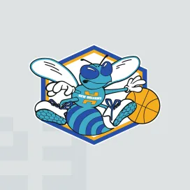 New orleans hornets 3